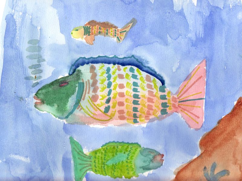 Poisson eva 9ans