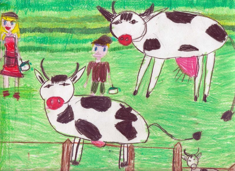 Vaches thais 7 ans